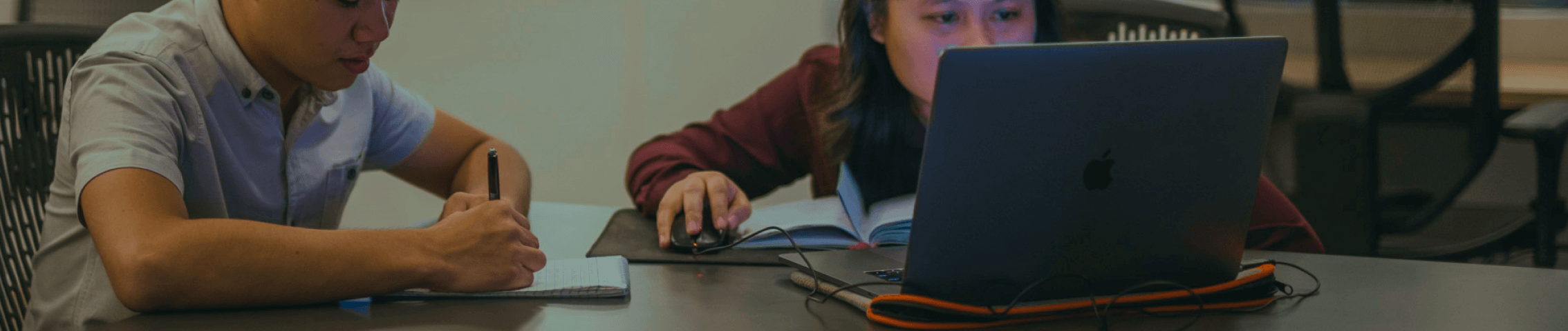 Flux Description Banner