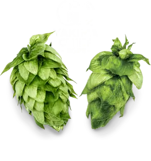 Yakima Chief Hops